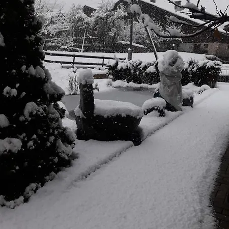 Beat & Ursula's Bed & Breakfast Jenaz