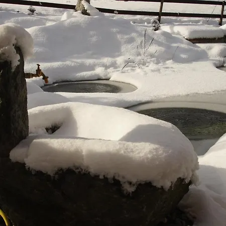 Beat & Ursula's Jenaz