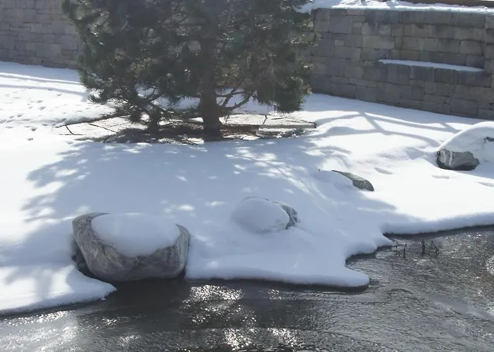 Beat & Ursula's Отель типа 